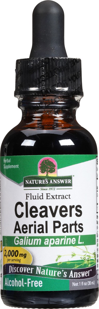 slide 3 of 14, Nature's Answer 2000 mg Cleavers Aerial Parts Fluid Extract 1 fl oz, 1 fl oz