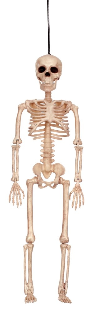 slide 1 of 1, Holiday Home Skeleton - Cream, 16 in