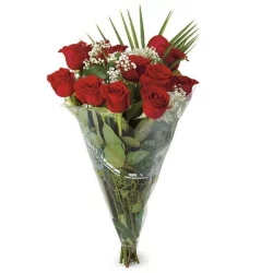 One Dozen Premium Red Roses