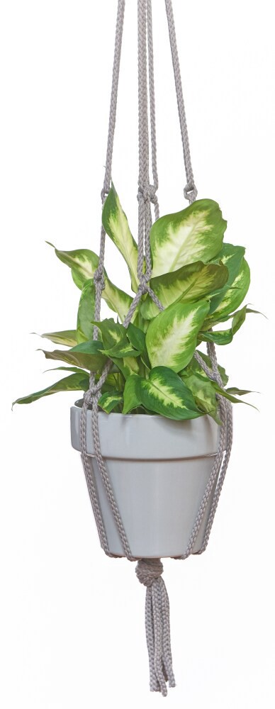slide 2 of 2, Primitive Planters Gray Macramé Plant Hanger, 1 ct