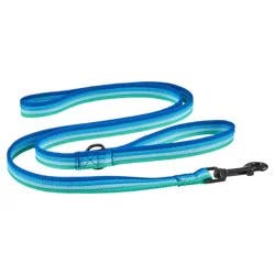 Meijer Dog Leash Blue Bright Stripe