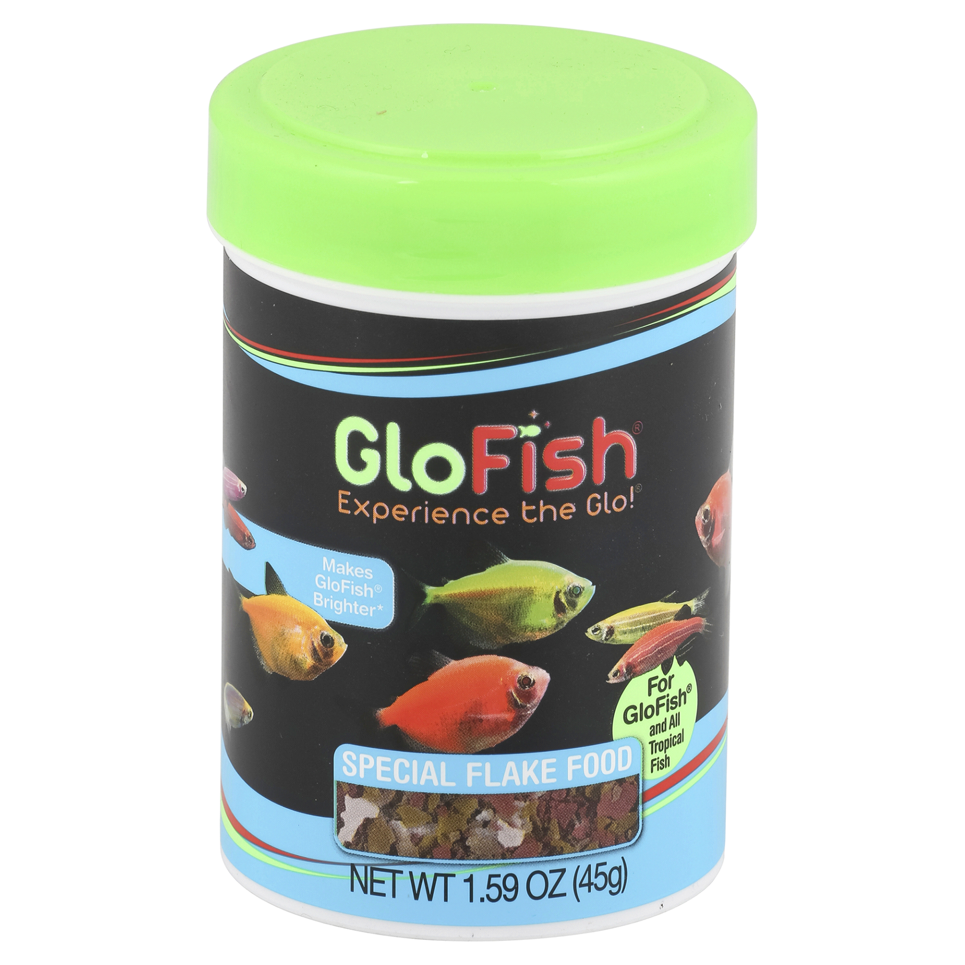 glofish tetra food