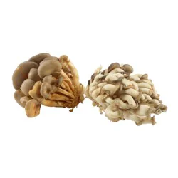 Oyster Mushrooms - Avg. 0.75 lb