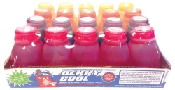 Snowtime Berry Cool Drink Assortment - 20 ct; 8 fl oz