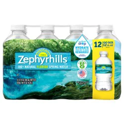 ZEPHYRHILLS Brand Florida Spring Water, 12-ounce plastic bottles (Pack of 12)