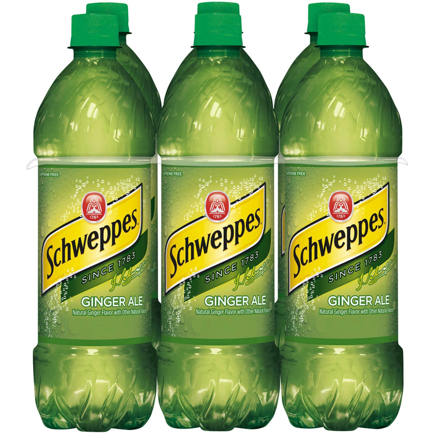slide 1 of 1, Schweppes Ginger Ale 6 - 16.9 fl oz Bottles, 6 ct