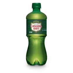 Canada Dry Ginger Ale Soda, 20 fl oz bottle