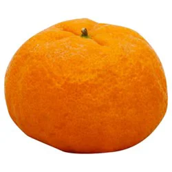 Mandarins Shasta