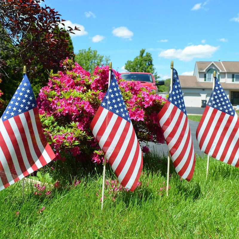 slide 2 of 3, 8"x12" Flag and Display: Betsy Flags Sentinel® Poly-Cotton, Fade Resistant, No Assembly Required, FMAA Certified, 1 ct