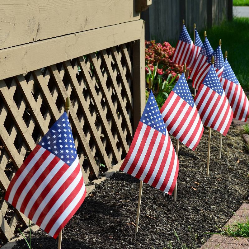 slide 3 of 3, 8"x12" Flag and Display: Betsy Flags Sentinel® Poly-Cotton, Fade Resistant, No Assembly Required, FMAA Certified, 1 ct