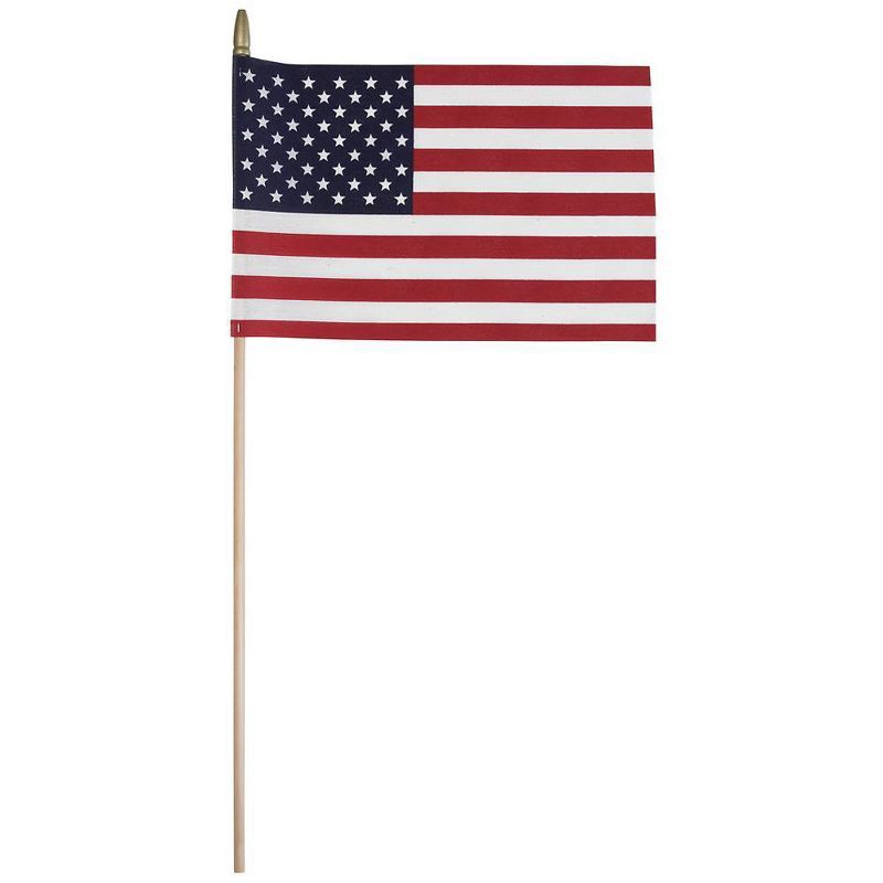 slide 1 of 3, 8"x12" Flag and Display: Betsy Flags Sentinel® Poly-Cotton, Fade Resistant, No Assembly Required, FMAA Certified, 1 ct
