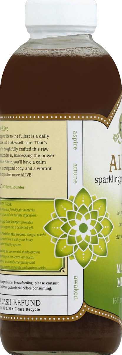 slide 3 of 4, GT's Yerba Mate Alive Ancient Mushroom Elixir - 16 fl oz, 16 fl oz