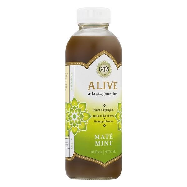 slide 1 of 4, GT's Yerba Mate Alive Ancient Mushroom Elixir - 16 fl oz, 16 fl oz