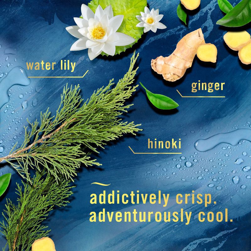 slide 5 of 13, Febreze Odor-Fighting Air Freshener - Ocean - 8.1oz, 8.1 oz