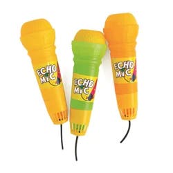 Echo Microphone Toy