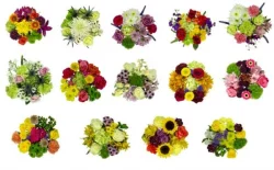 Nat Just Right Bouquet