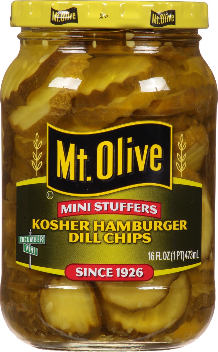 slide 6 of 9, Mt. Olive Dill Pickles, 16 oz