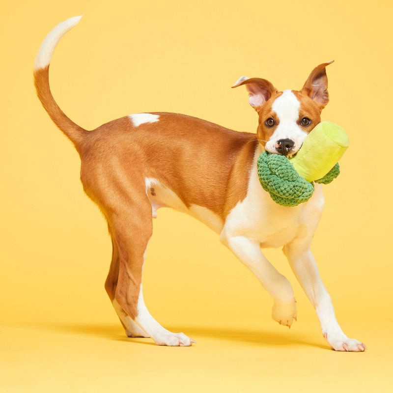 Bark Punk Brocc Broccoli Dog Toy : Target