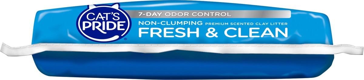 slide 6 of 12, Cat's Pride Fresh & Clean Premium Cat Litter, 20 lb