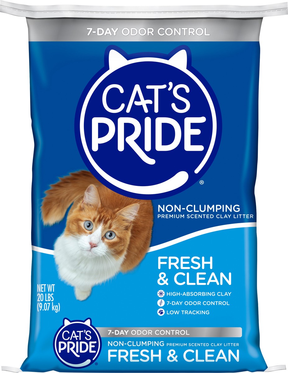 slide 11 of 12, Cat's Pride Fresh & Clean Premium Cat Litter, 20 lb