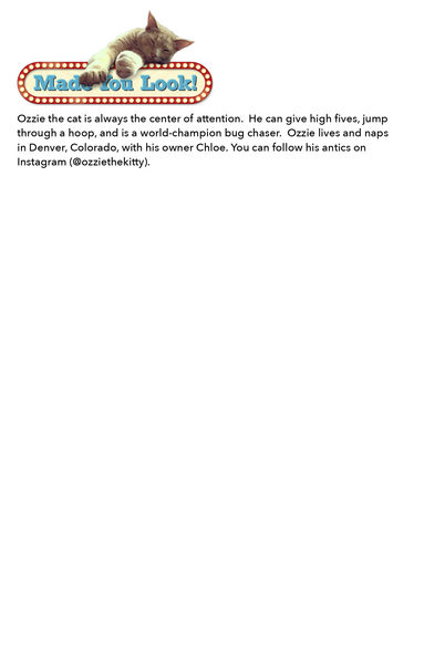 slide 2 of 3, Hallmark Crd Any1 Sbx Myl Cat Nap, 1 oz