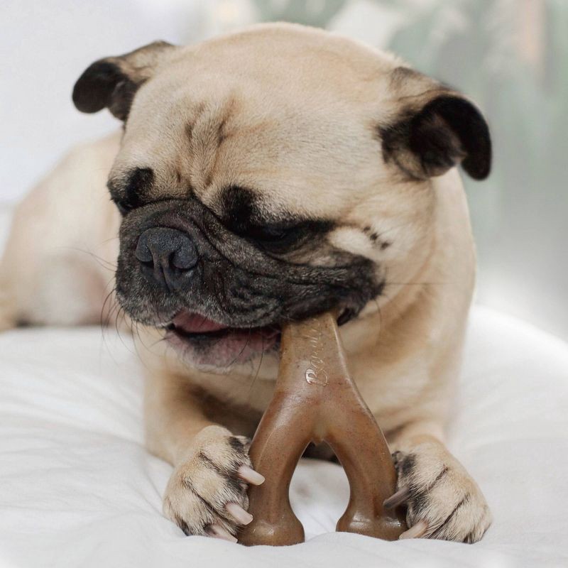 slide 4 of 6, Benebone Wishbone Dog Chew Toy - Bacon - S, 1 ct