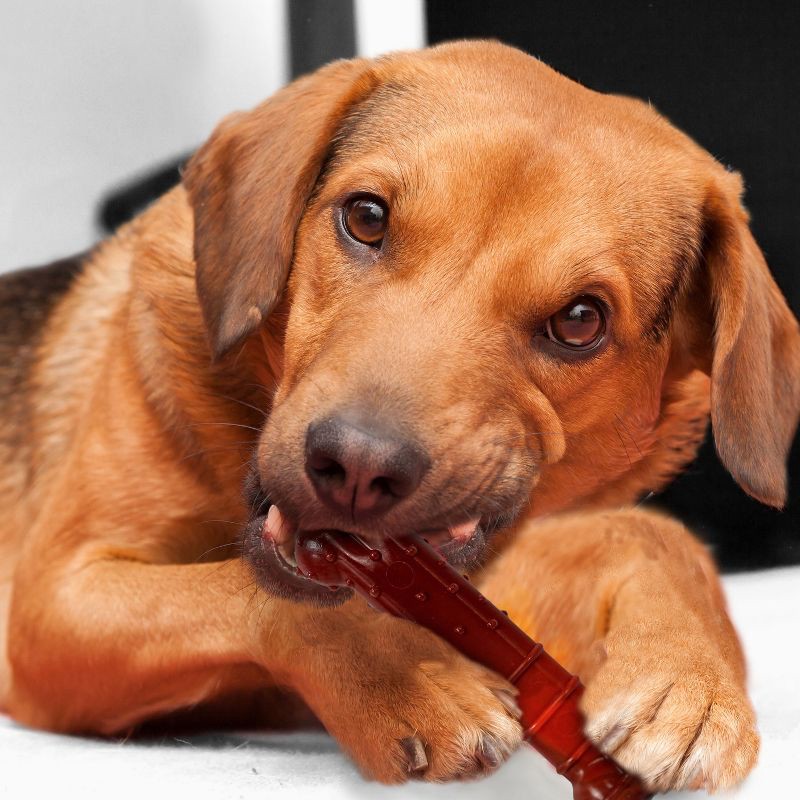 slide 3 of 5, Nylabone Dental Wolf Twin Dog Toy Set - M, 1 ct