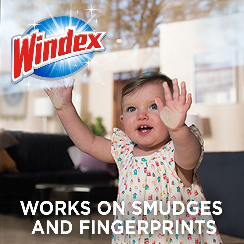 slide 6 of 10, Windex Original Glass and Surface Pre-Moistened Wipes Window Cleaner - 38ct, 38 ct