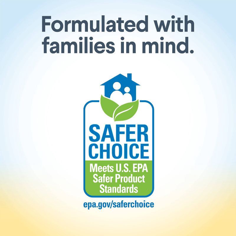 slide 6 of 14, Clorox Lemon Free & Clear Wipes - 75ct, 75 ct