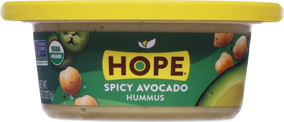 slide 6 of 9, Hope Foods Spicy Avocado Organic Hummus, 8 oz