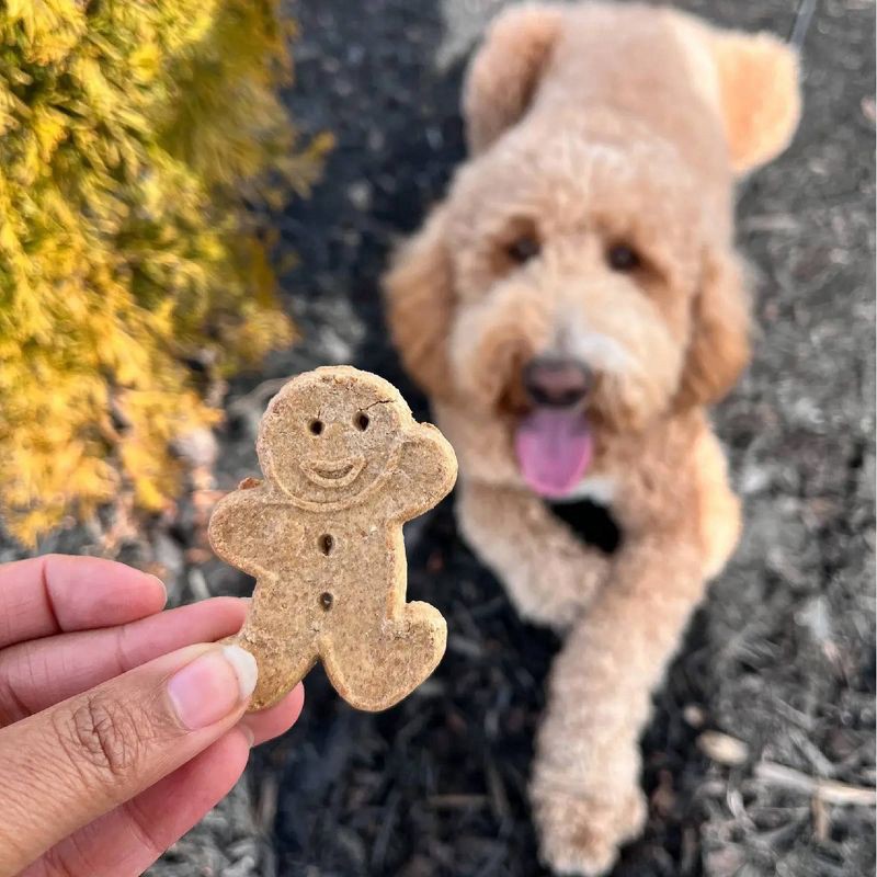 slide 4 of 9, Buddy Biscuits Crunchy Assorted Flavors with Beef, Chicken and Cheese Biscuit Dog Treats - 16oz, 16 oz