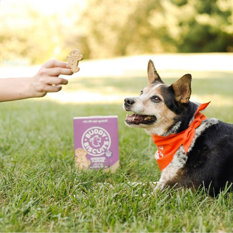 slide 4 of 5, Buddy Biscuits Crunchy Assorted Flavors with Beef, Chicken and Cheese Biscuit Dog Treats - 16oz, 16 oz