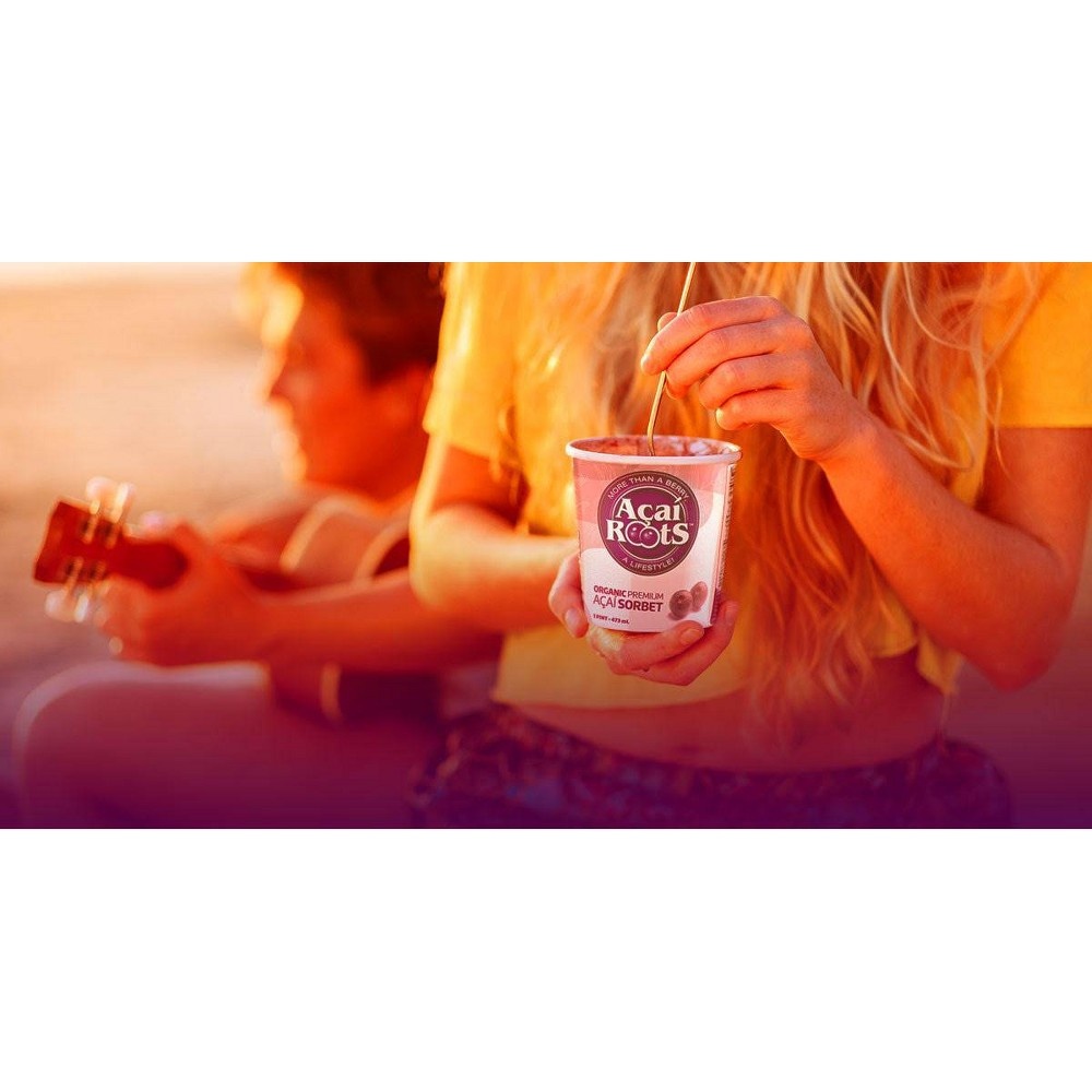 slide 5 of 5, Acai Roots Organic Premium Acai Sorbet, 16 oz