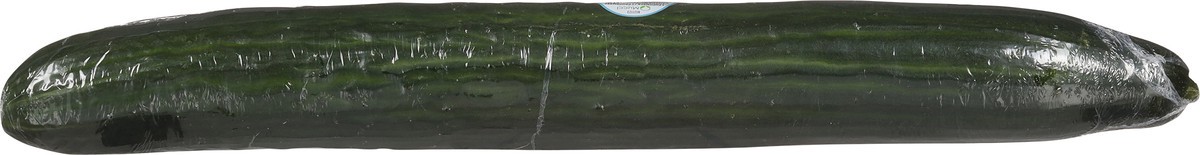 slide 5 of 11, Mucci Farms Seedless English Cucumber 1 ea, 1 ct