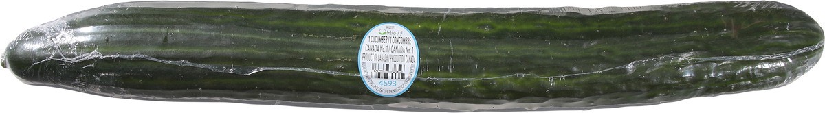 slide 10 of 11, Mucci Farms Seedless English Cucumber 1 ea, 1 ct