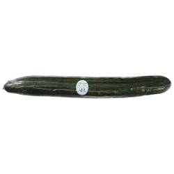 Mucci Farms Seedless English Cucumber 1 ea