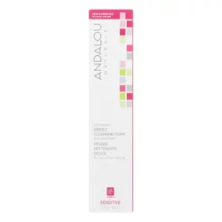 Andalou Naturals Cleansing Foam Gentle