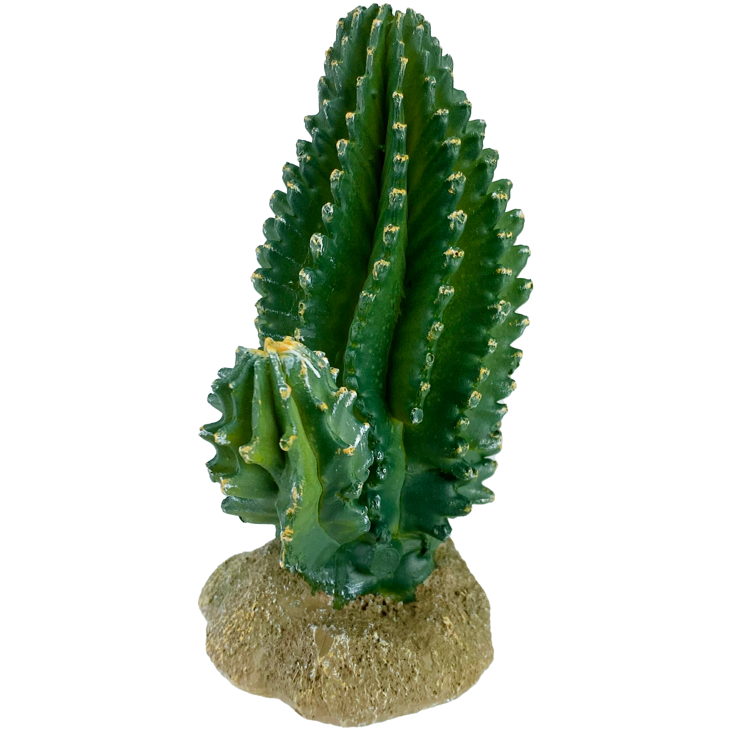 slide 3 of 4, Komodo Decorative Columnar Cactus 6 inch, 1 ct