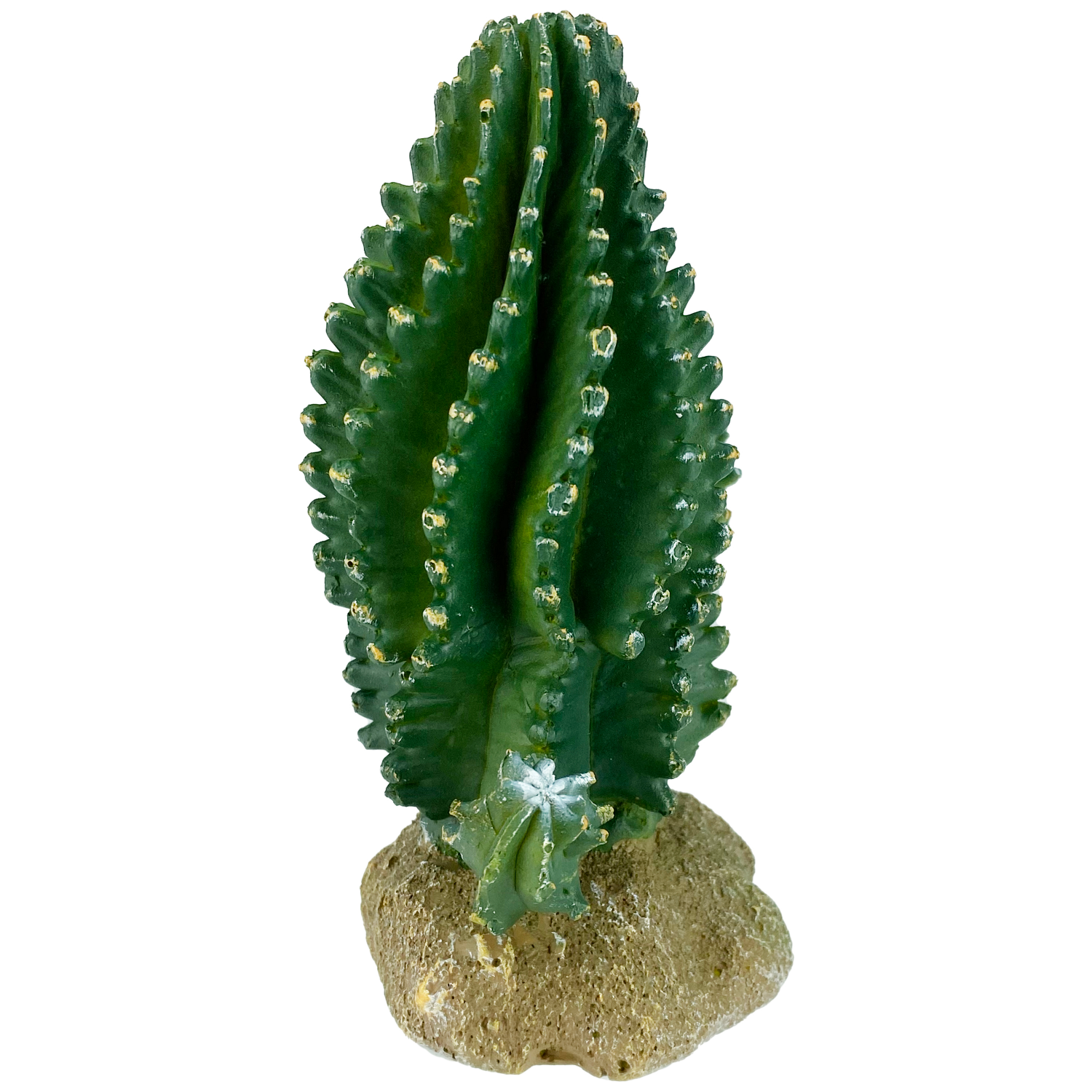 slide 4 of 4, Komodo Decorative Columnar Cactus 6 inch, 1 ct