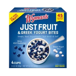 Wyman's Just Fruit Frozen Wild Blueberries and Greek Yogurt Bites - 4ct/9.2oz