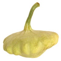 slide 1 of 1, Squash Patty Pan/Summer Green, per lb
