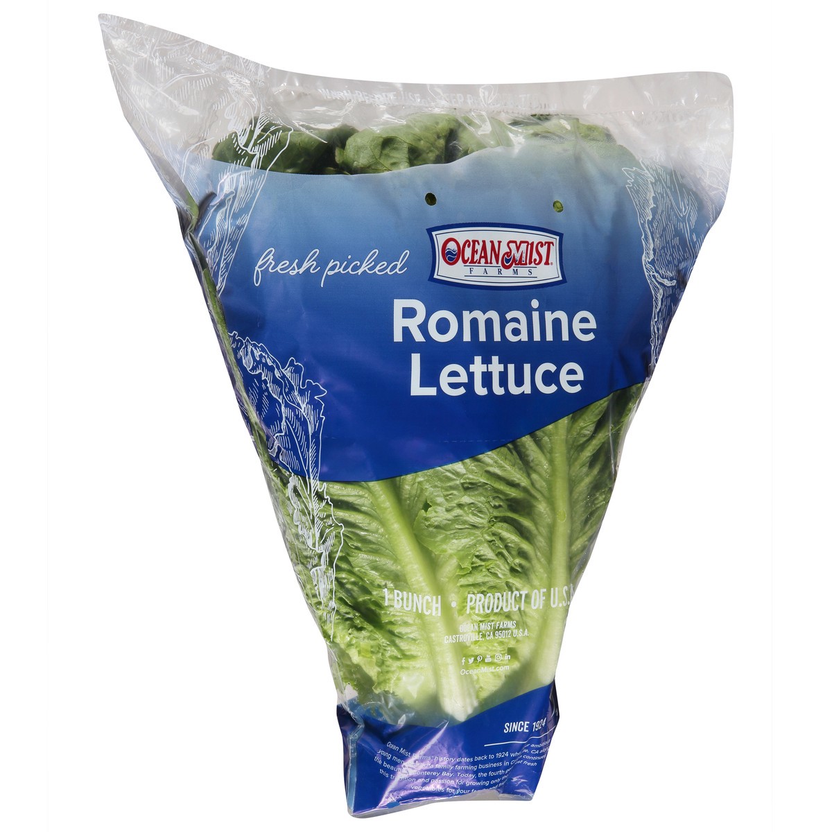 slide 4 of 9, Ocean Mist Farms Romaine Lettuce 1 ea, 1 ct