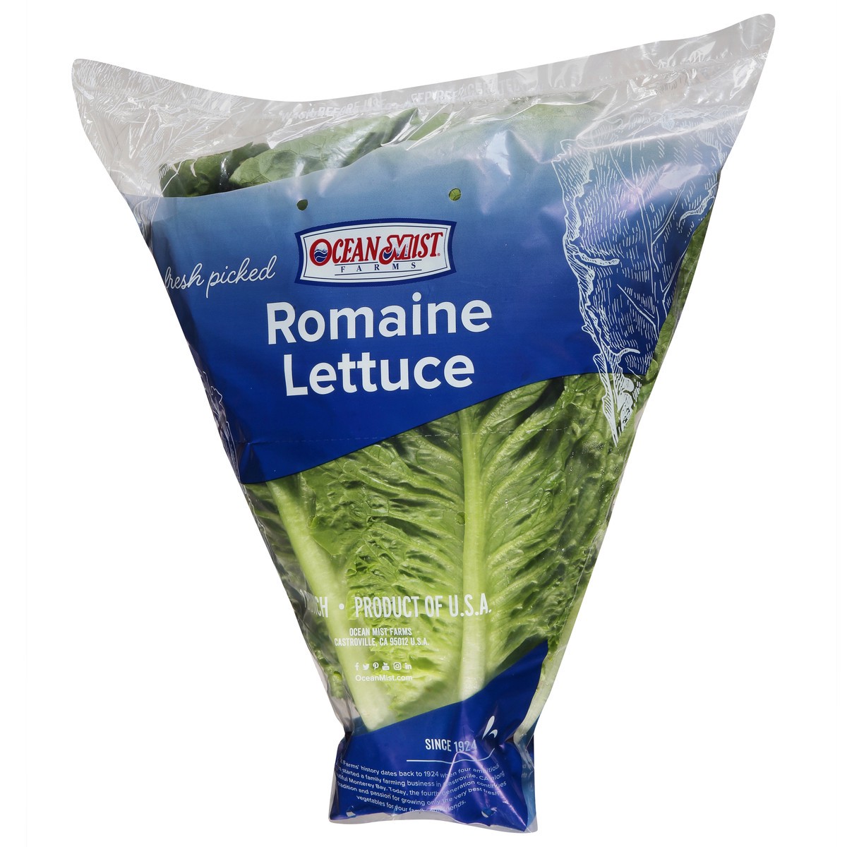 slide 6 of 9, Ocean Mist Farms Romaine Lettuce 1 ea, 1 ct