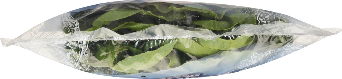 slide 5 of 9, Ocean Mist Farms Romaine Lettuce 1 ea, 1 ct