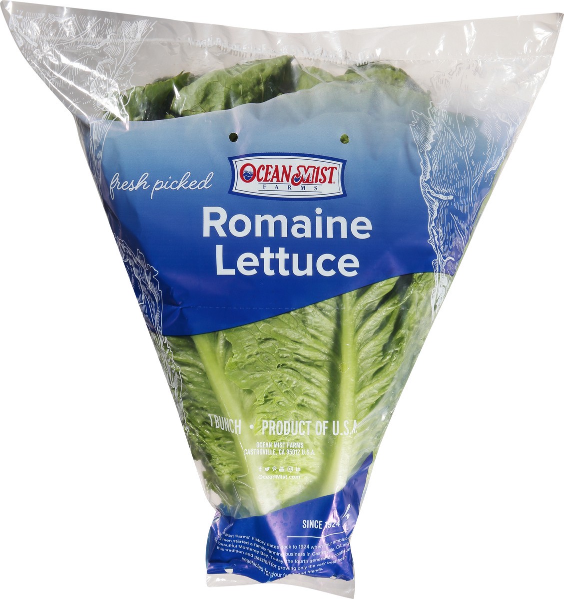 slide 1 of 9, Ocean Mist Farms Romaine Lettuce 1 ea, 1 ct