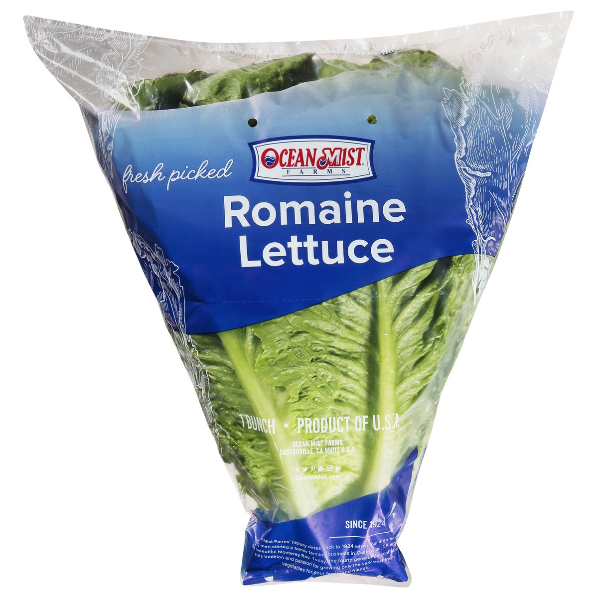 slide 3 of 9, Ocean Mist Farms Romaine Lettuce 1 ea, 1 ct