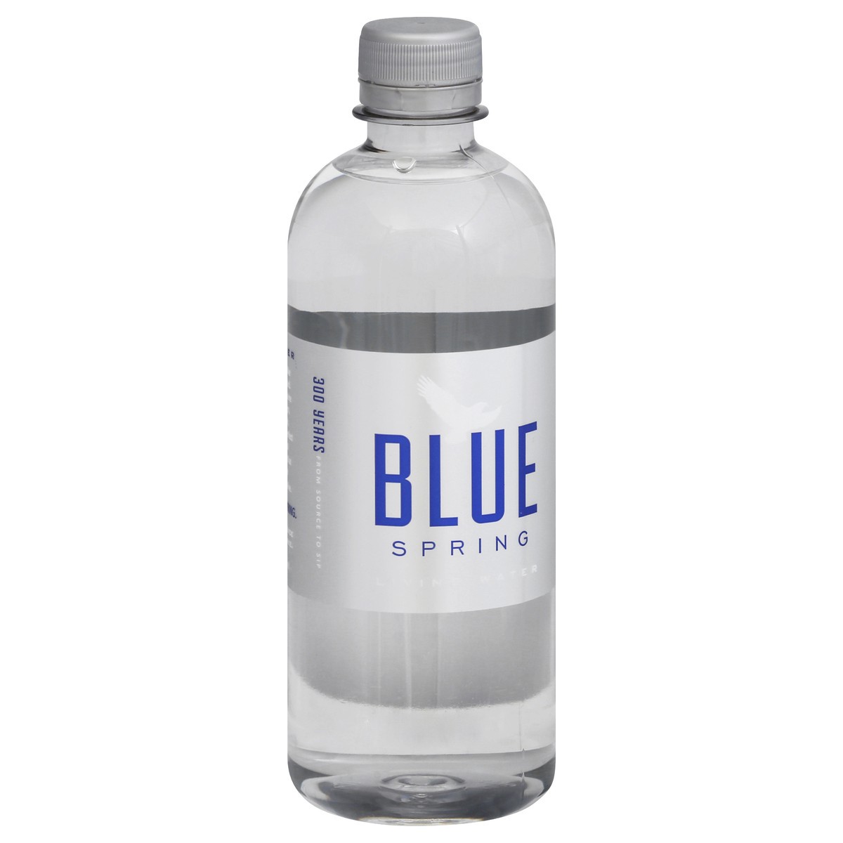 slide 2 of 9, Blue Spring Alabama Water, 500 ml