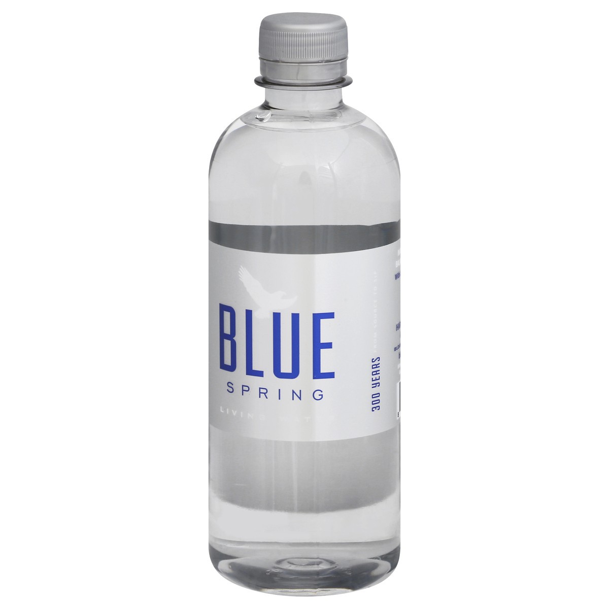 slide 3 of 9, Blue Spring Alabama Water, 500 ml