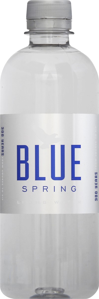 slide 1 of 9, Blue Spring Alabama Water - 500 ml, 500 ml