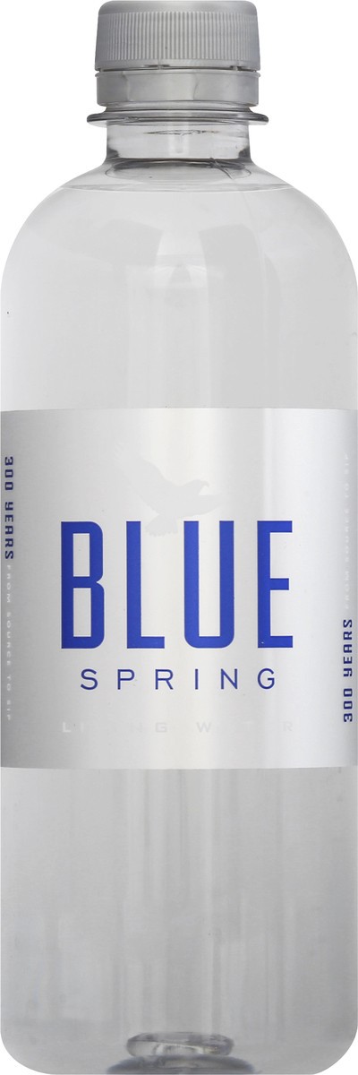 slide 6 of 9, Blue Spring Alabama Water, 500 ml